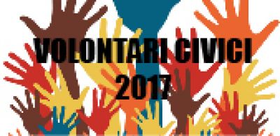 VOLONTARIATO CIVICO - Bando anno 2017